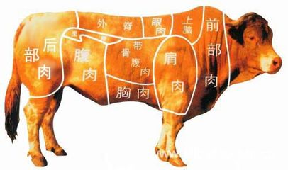 【精修黄牛肉小黄瓜条】价格_厂家 - 中国供应商